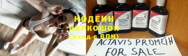 мяу мяу мука Вязьма