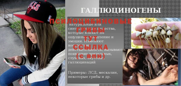 мяу мяу мука Вязьма