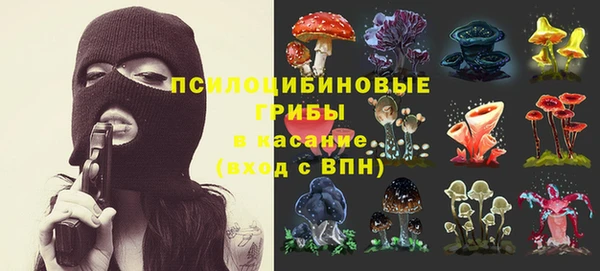 мяу мяу мука Вязьма