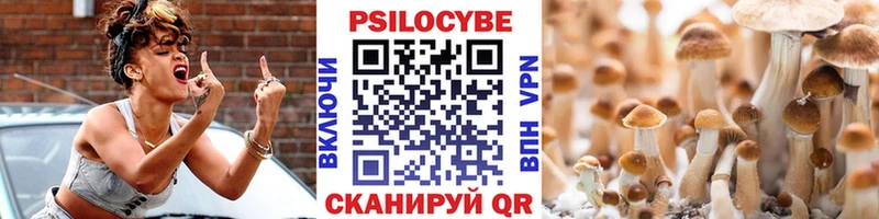 Галлюциногенные грибы Psilocybe  Купить где  Валдай 